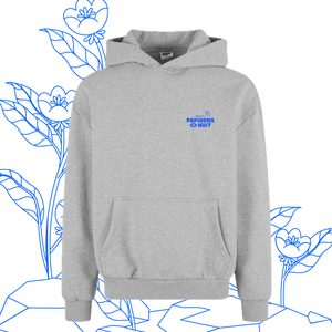 Sweat capuche gris